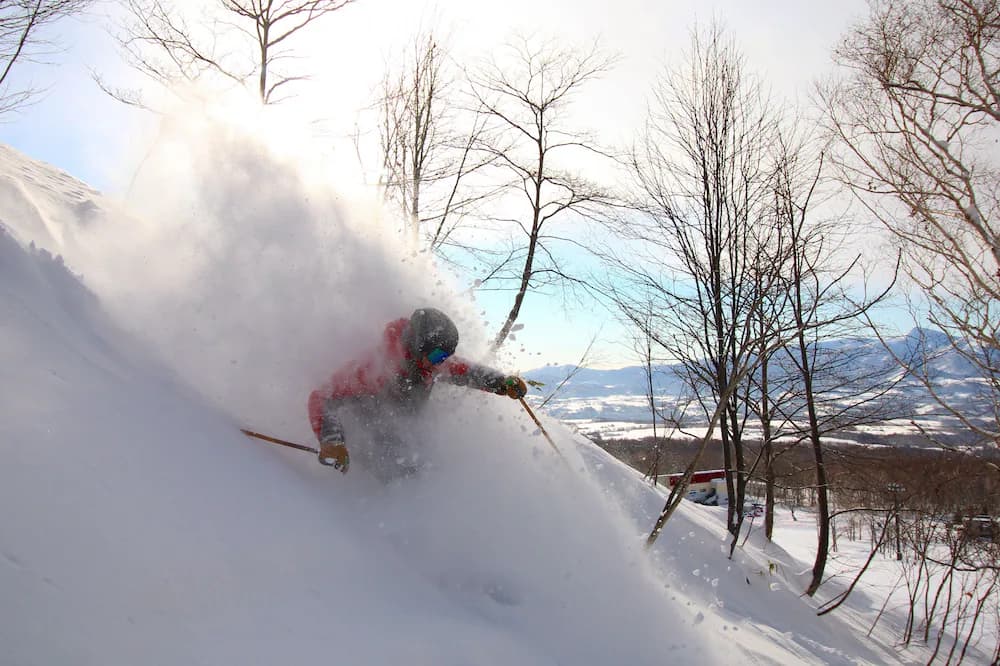 Snow and ski sports