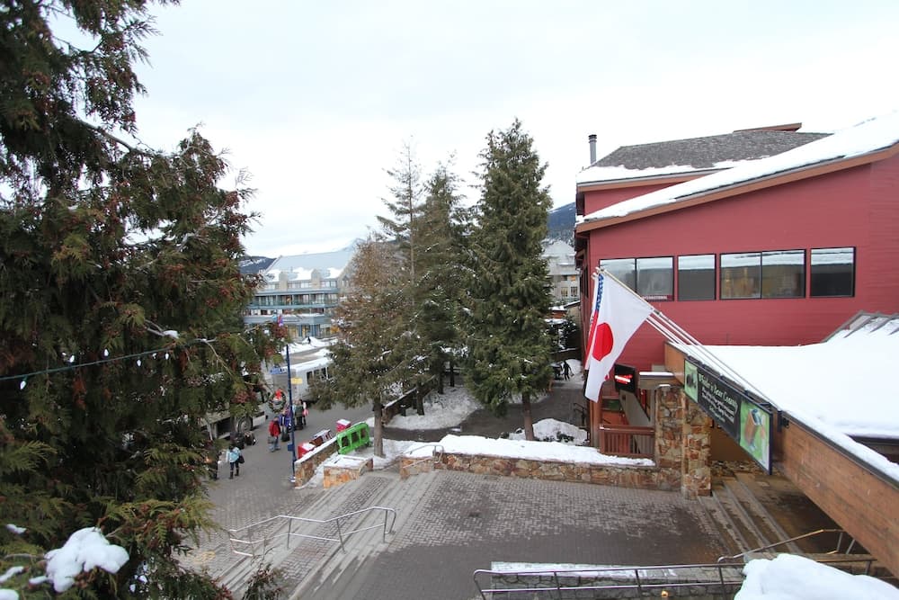 View from room
