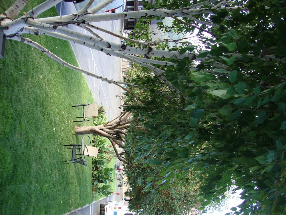 Property grounds