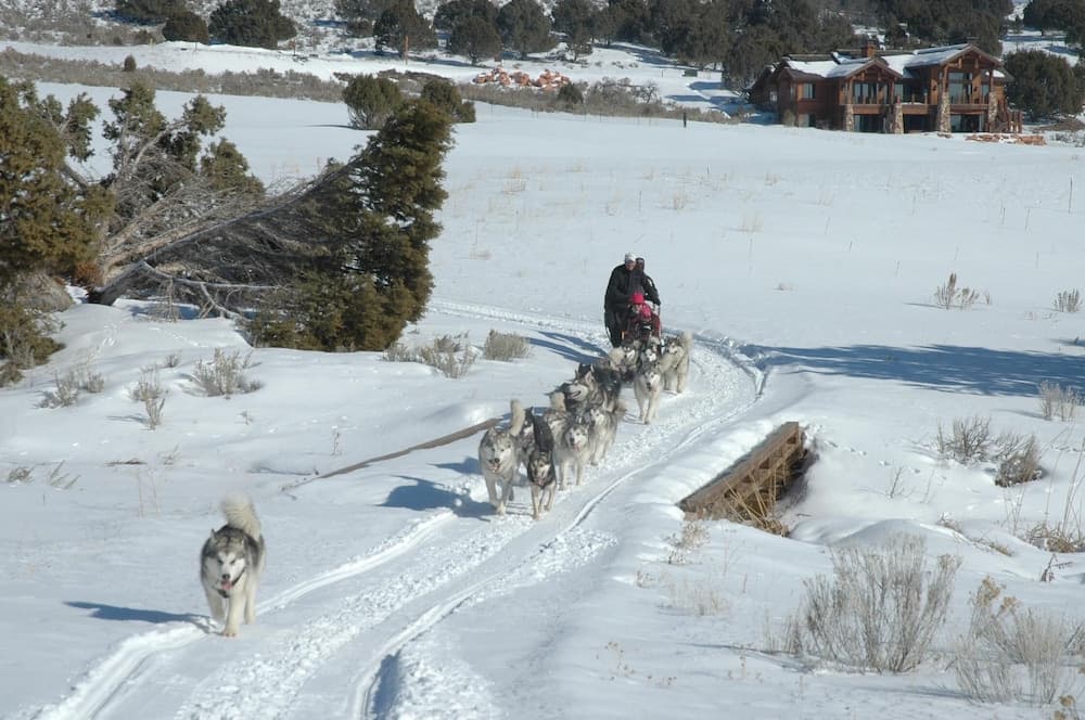 Sledding