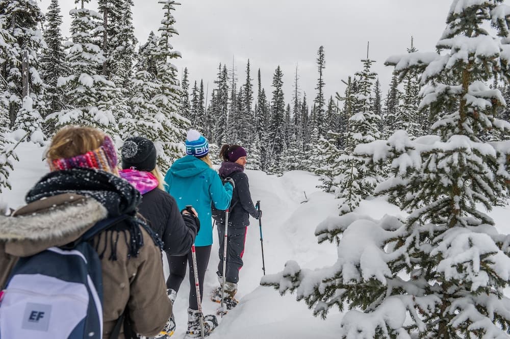 Snowshoeing