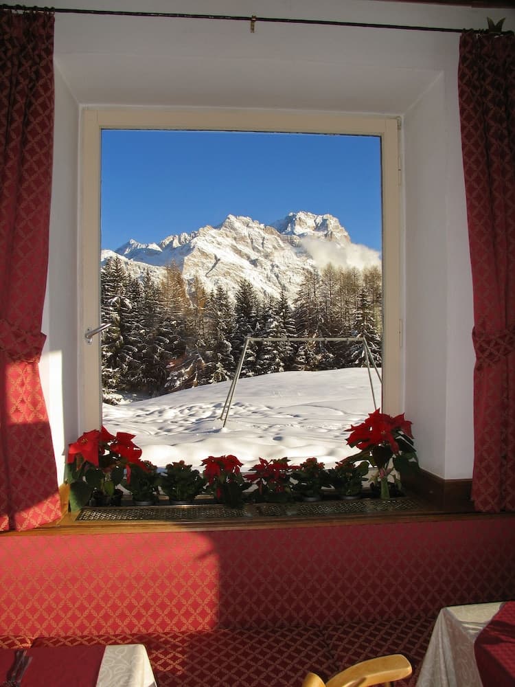 Mountain view