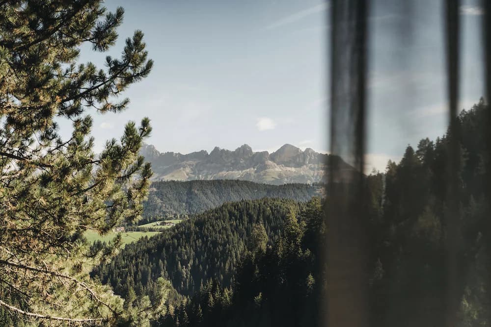 Land view from property