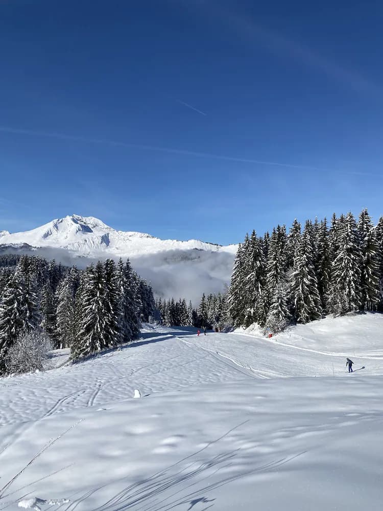 Snow and ski sports