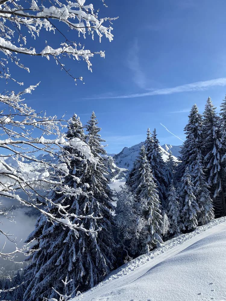 Snow and ski sports