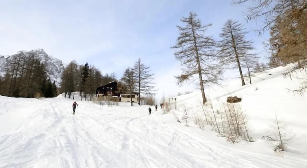 Snow and ski sports