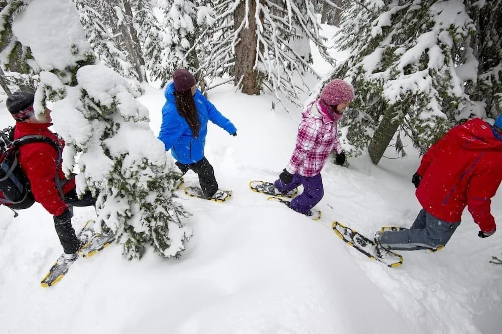 Snow and ski sports