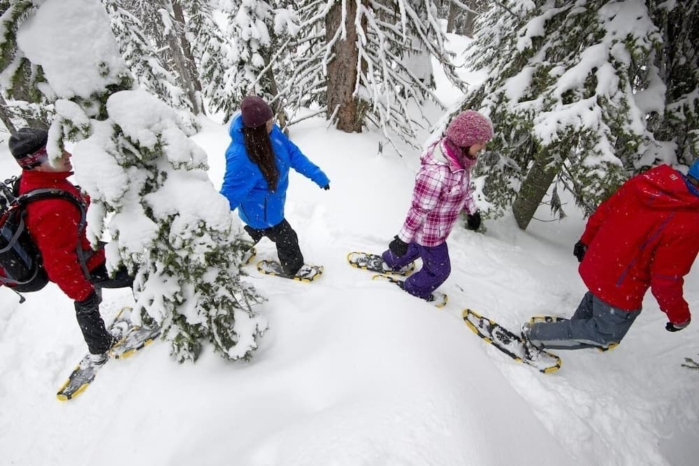 Snow and ski sports