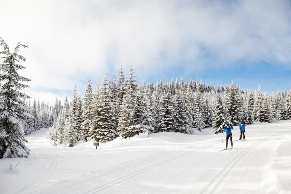 Snow and ski sports