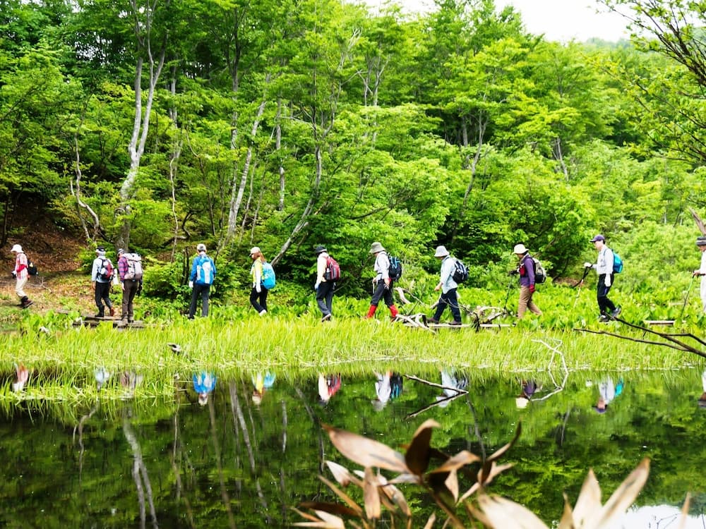 Hiking
