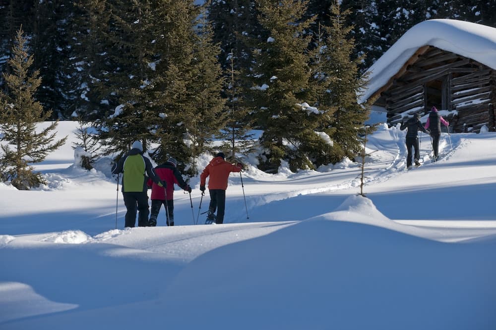 Snowshoeing
