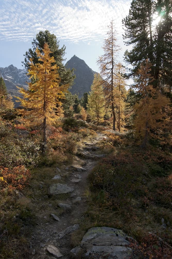 Hiking