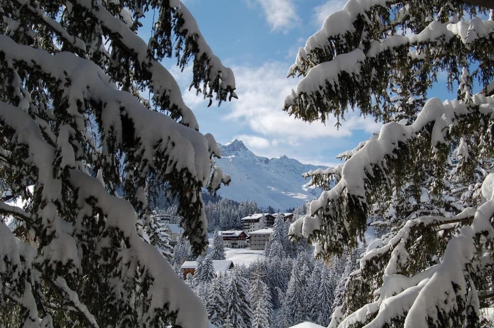 Snow and ski sports