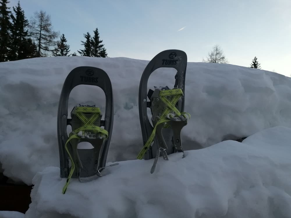 Snowshoeing