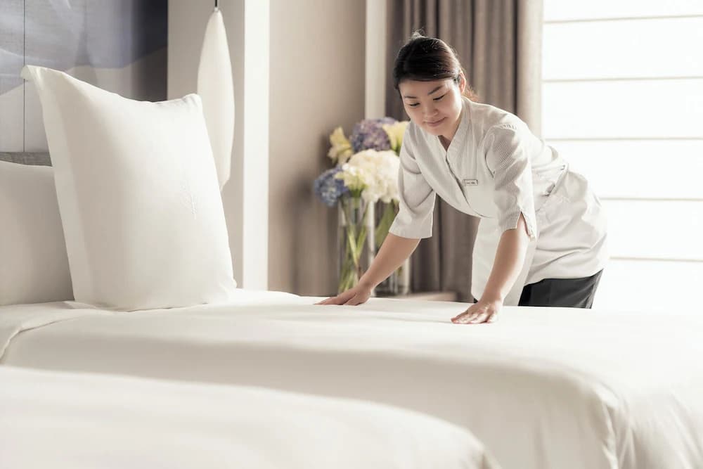 Cleanliness standards