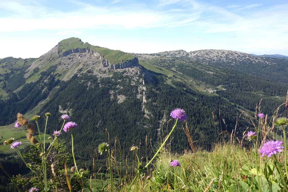 Hiking