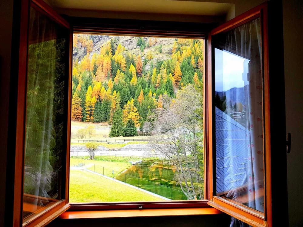 View from room