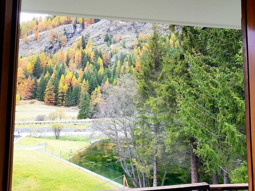 View from room