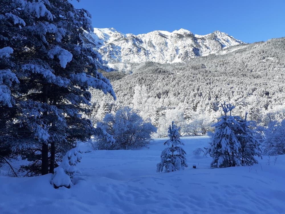 Snow and ski sports