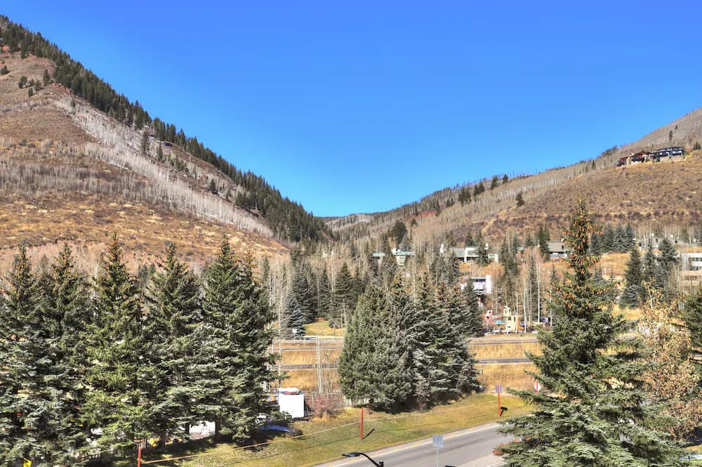 View from room
