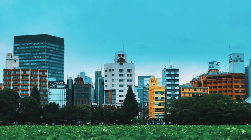 City view from property