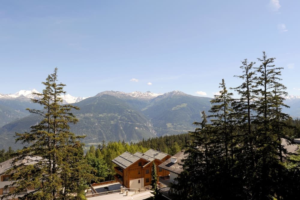 View from room