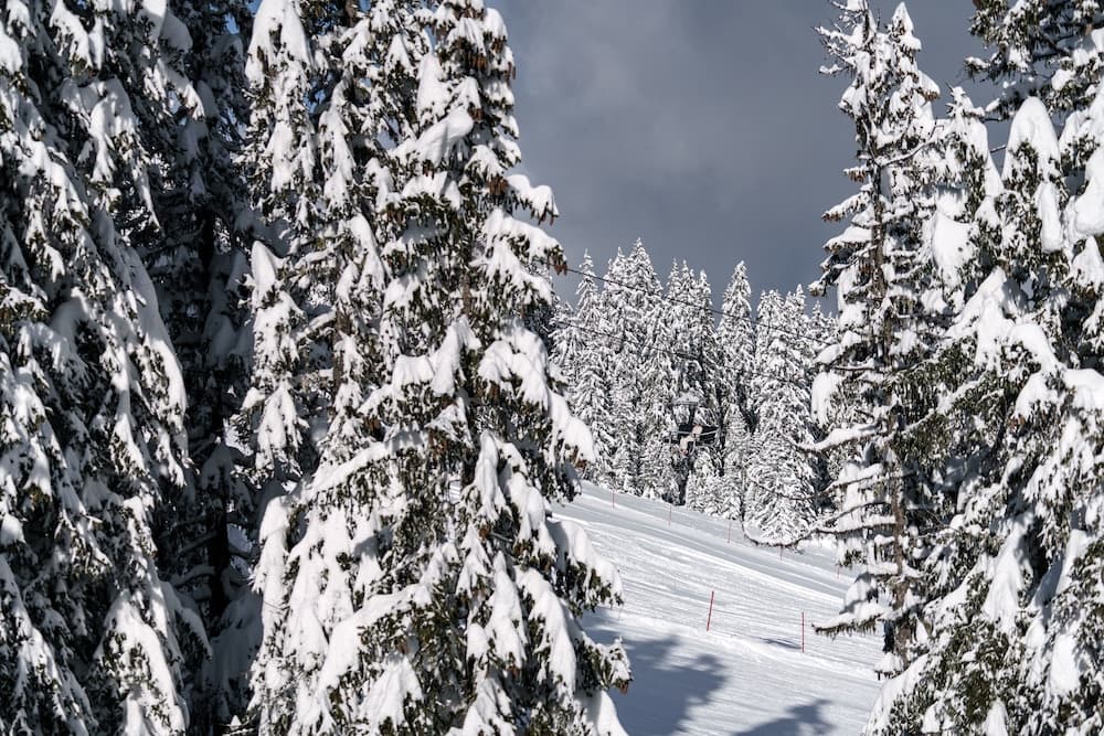Ski hill