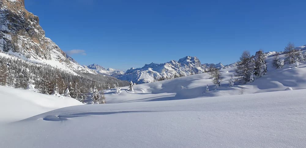 Point of interest
