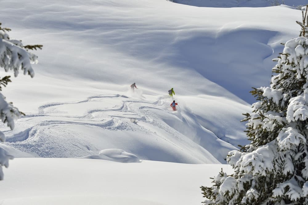 Snow and ski sports