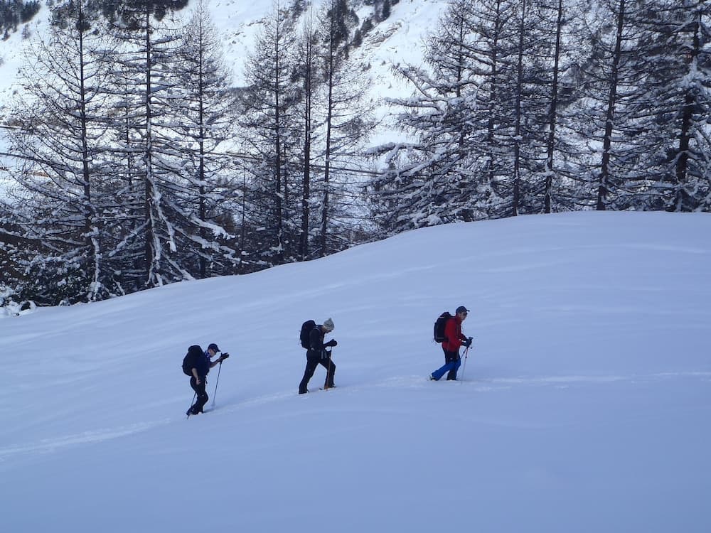 Snow and ski sports