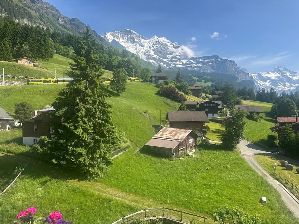 View from room