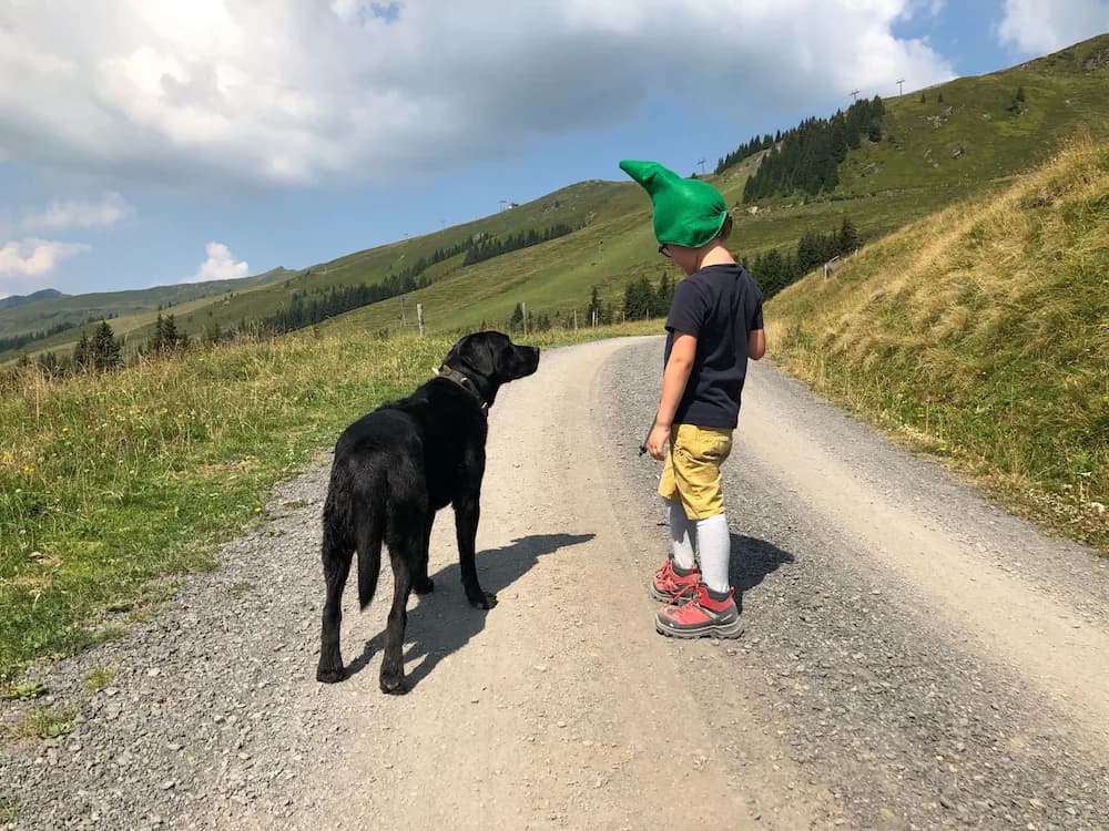 Pet-friendly