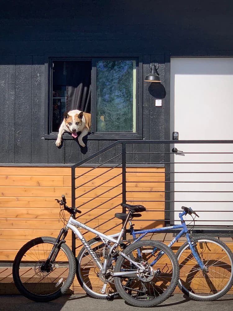Pet-friendly