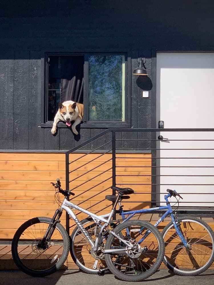 Pet-friendly