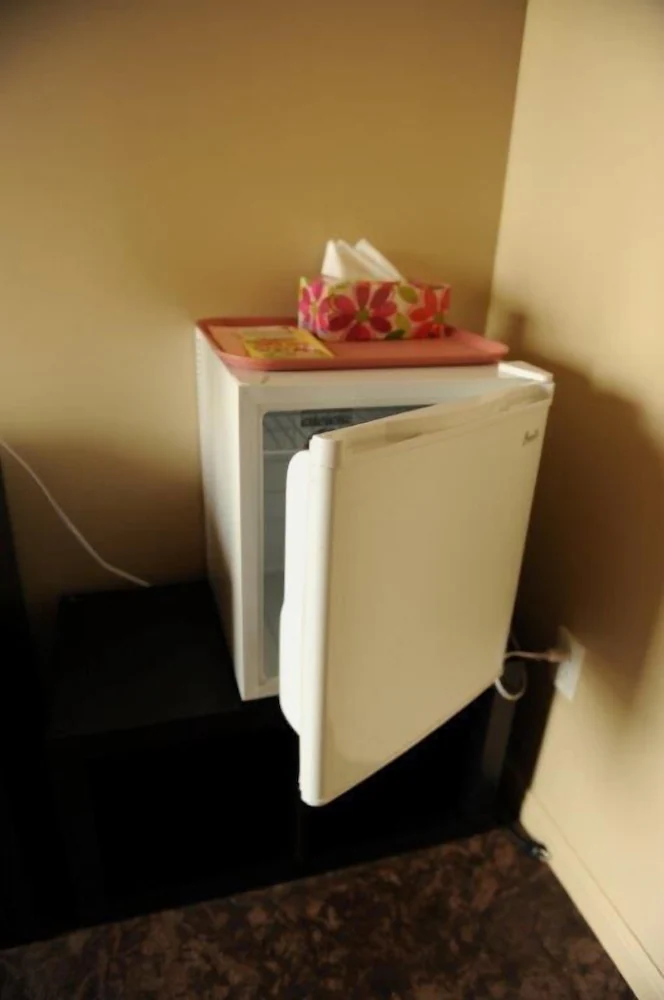 Mini-refrigerator