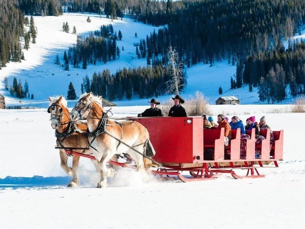 Sledding