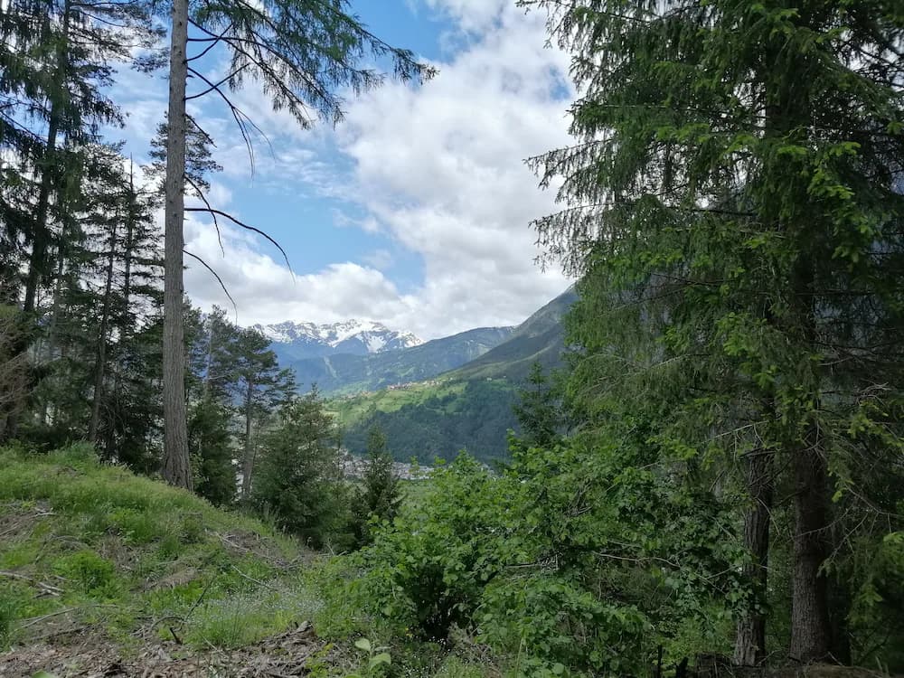 Hiking
