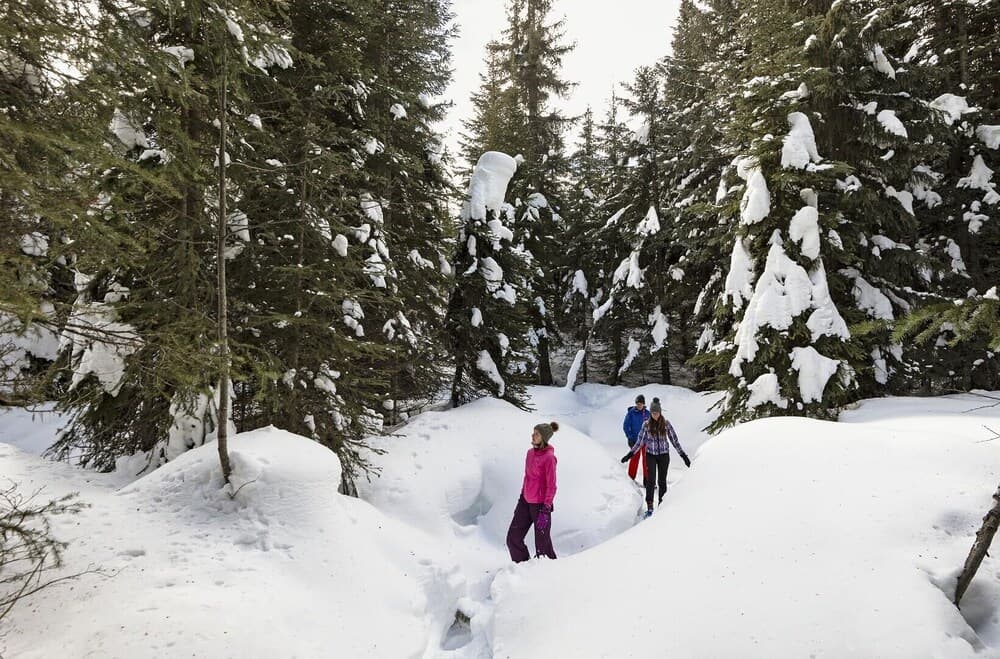 Snow and ski sports
