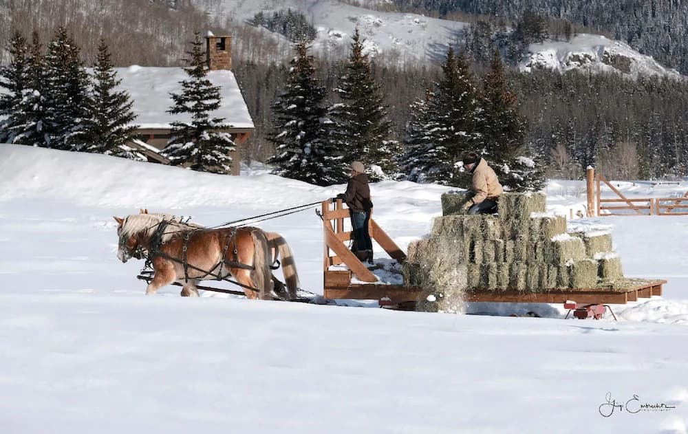 Snow and ski sports