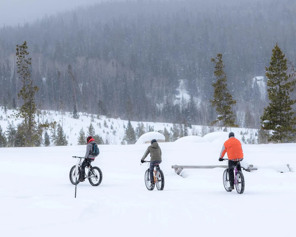 Snow and ski sports