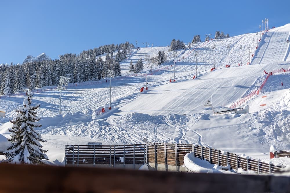 Skiing