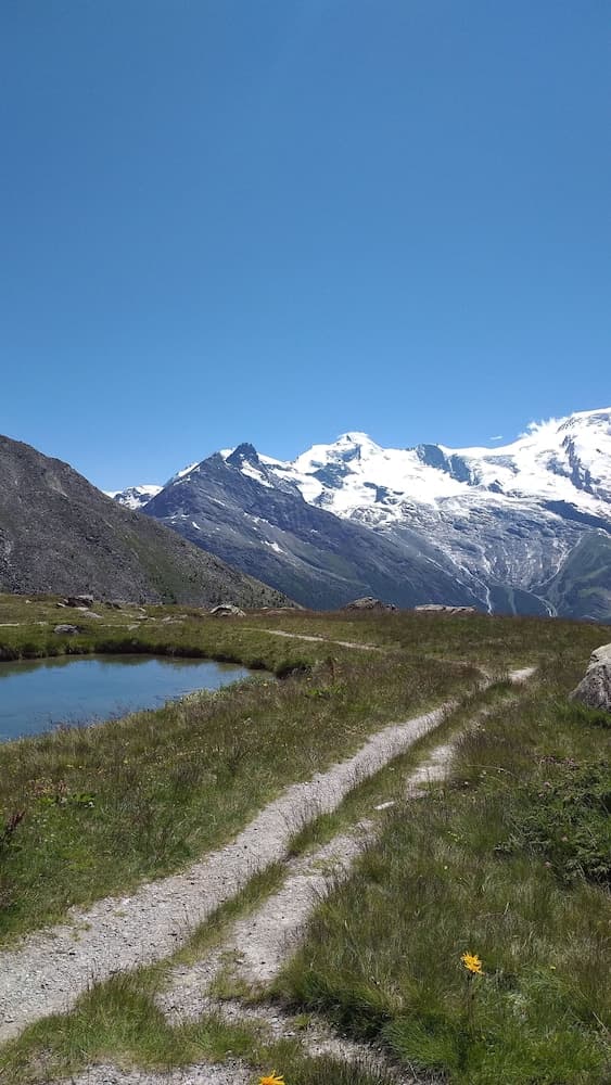 Mountain view