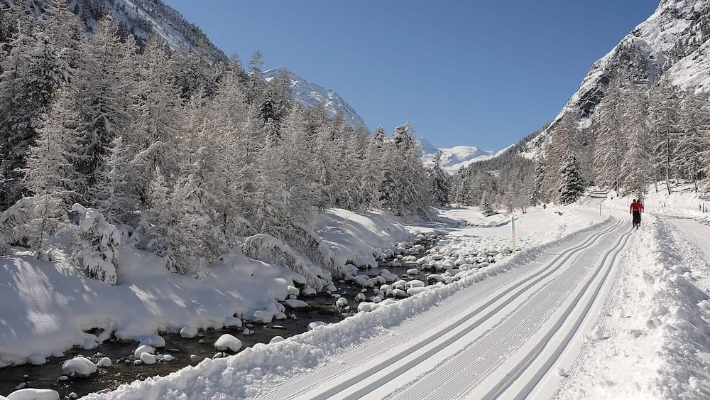 Snow and ski sports