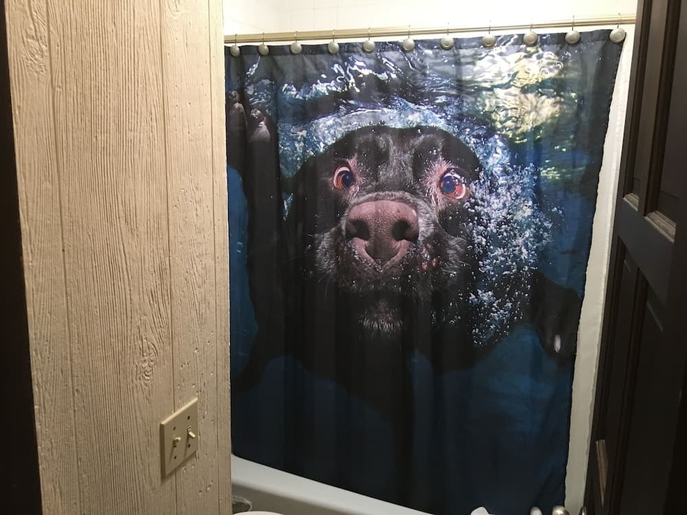 Bathroom shower