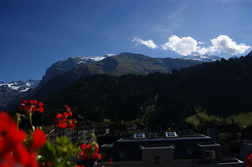 Mountain view