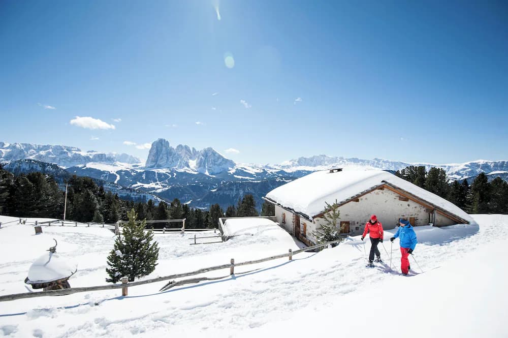 Snowshoeing