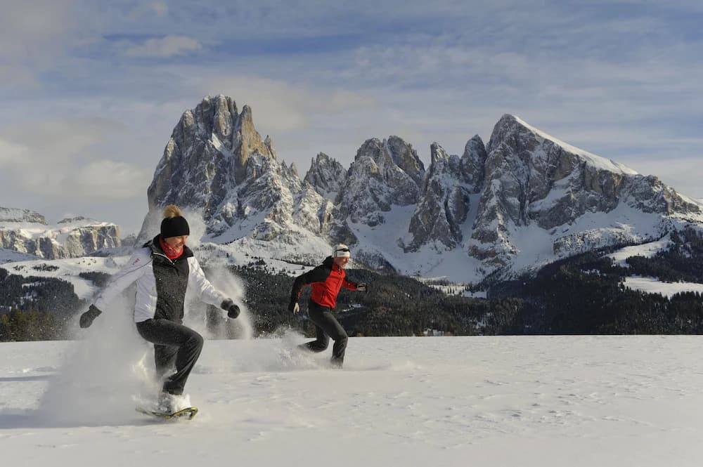 Snowshoeing