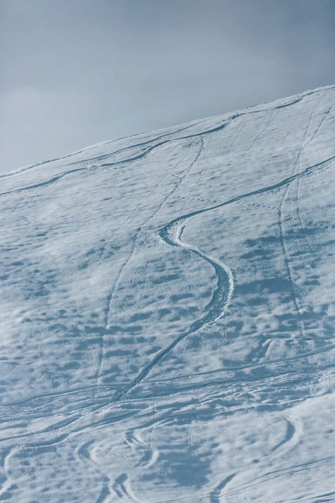 Skiing