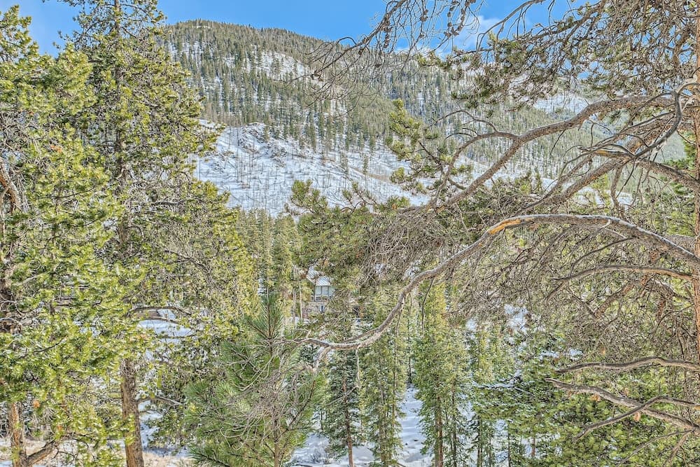 Mountain view