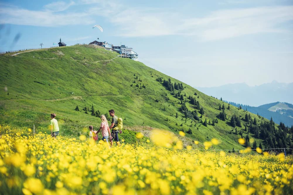 Hiking